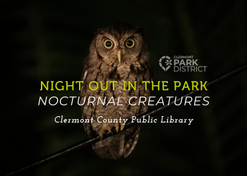 NOATP nocturnal creatures